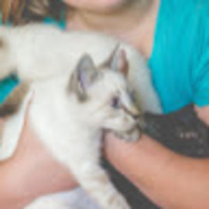 Meet your Posher, Brittany